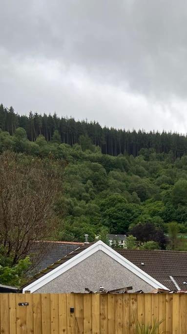 Brynhyfryd Cottage Aberaman Dış mekan fotoğraf
