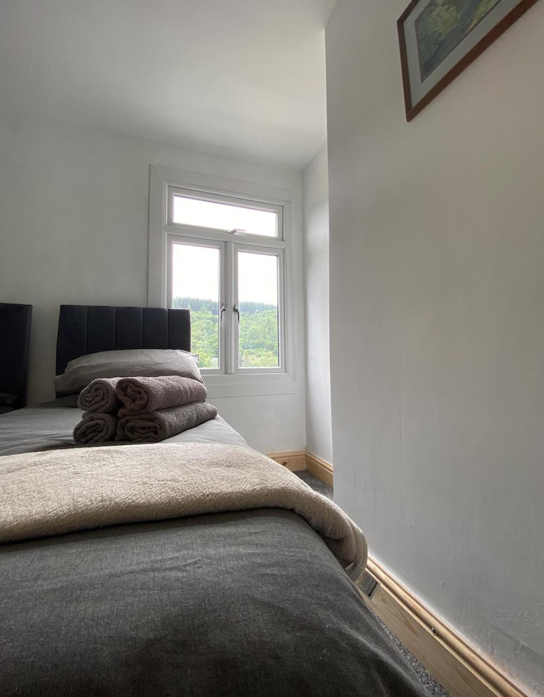 Brynhyfryd Cottage Aberaman Dış mekan fotoğraf