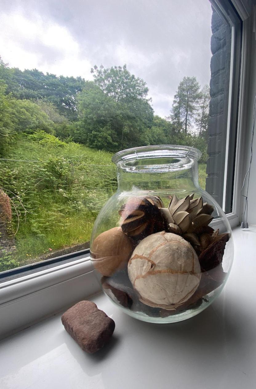 Brynhyfryd Cottage Aberaman Dış mekan fotoğraf